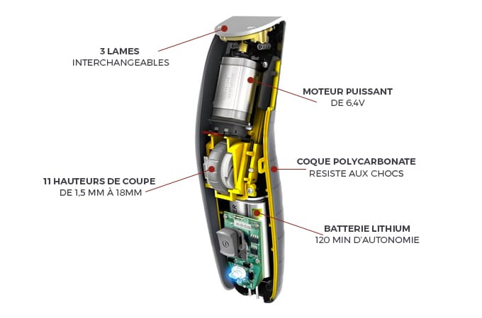 remington MB4850 anatomie