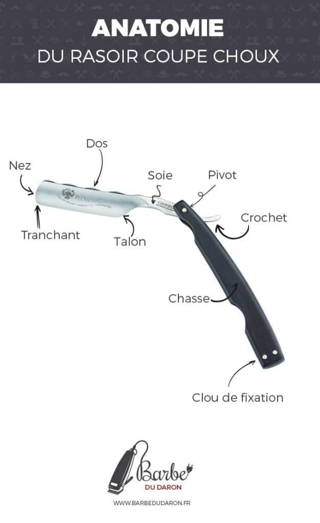 rasoir coupe choux anatomie