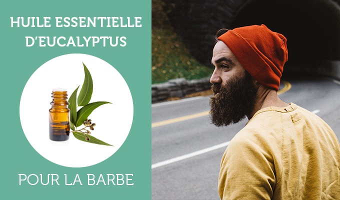 L’huile d’eucalyptus, pourquoi l’utiliser pour la barbe ? 2 huile essentielle eucalyptus barbe