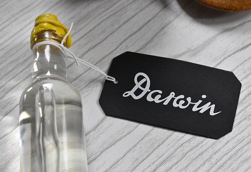 Après-rasage Darwin | Avis et test