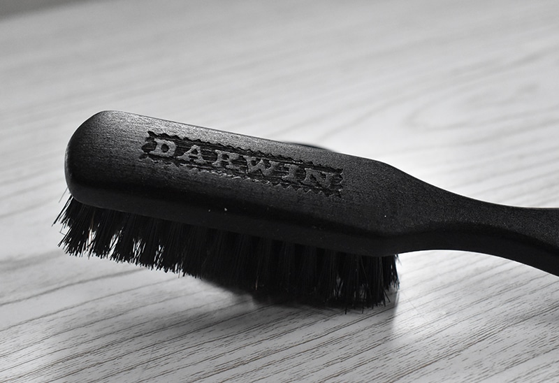 Brosse à barbe Darwin | Avis et test