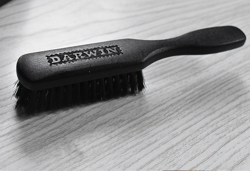 Brosse à barbe Darwin | Avis et test