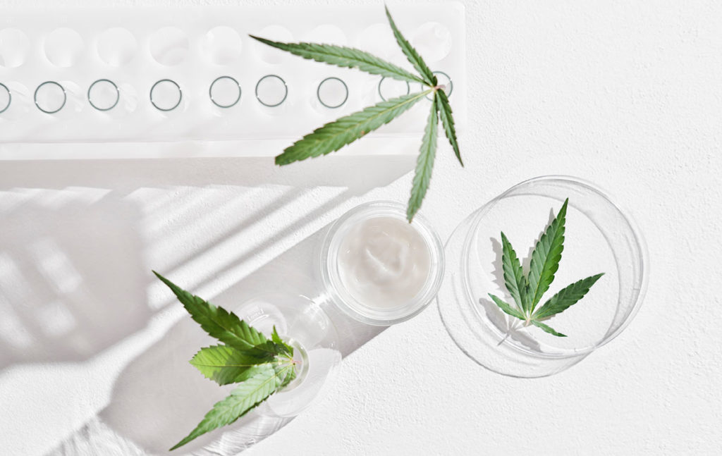 creme cbd avis 2