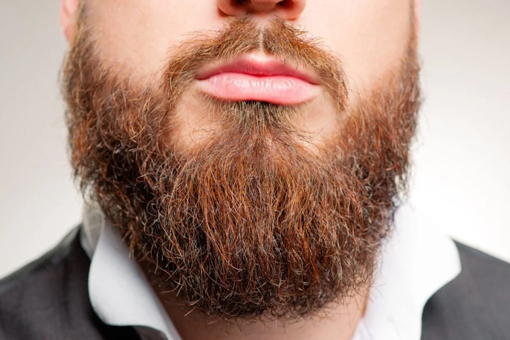 barbe poils roux 1