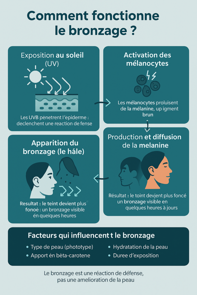 comment bronzer rapidement