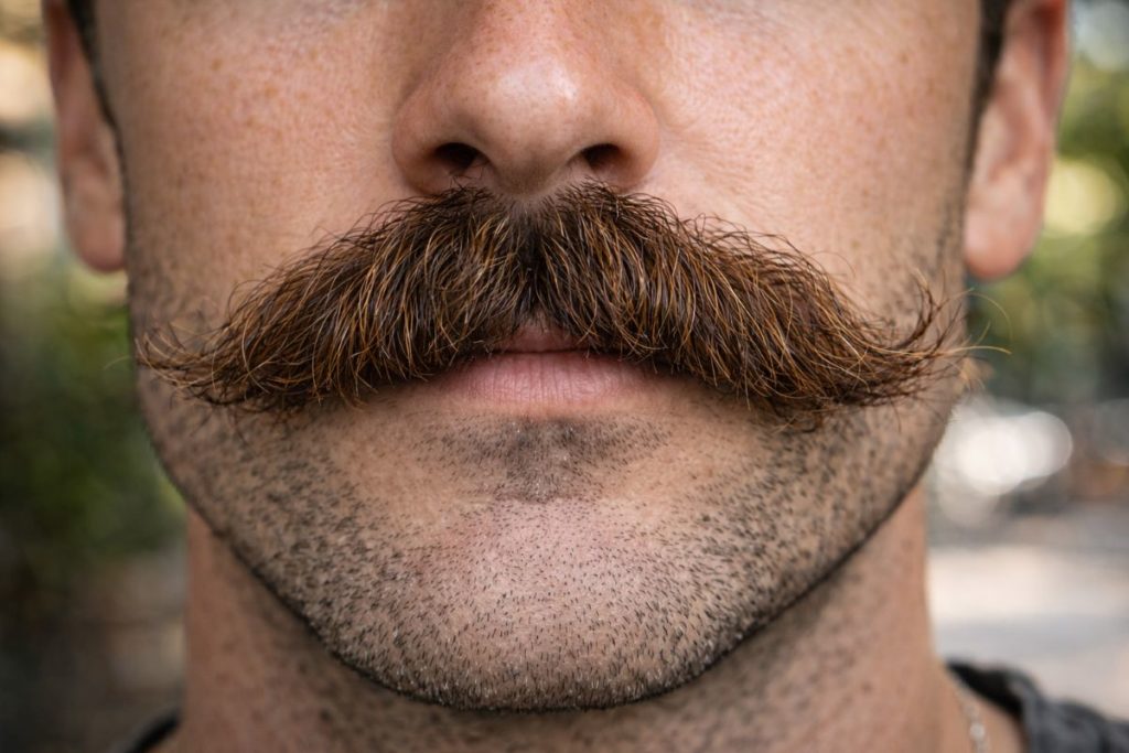 Les différents styles de moustache : laquelle pour votre visage ? 2 Moustache - La morse