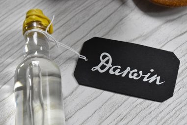 Darwin : Soins de rasage & barbe traditionnels et singuliers !