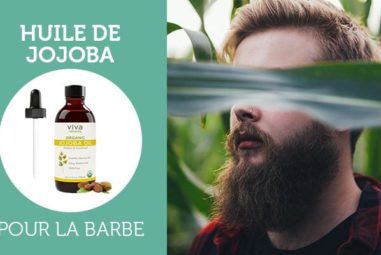 L’huile de jojoba, quelles vertus pour la barbe ?